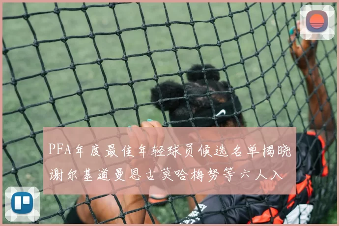 PFA年度最佳年轻球员候选名单揭晓谢尔基道曼恩古莫哈梅努等六人入围